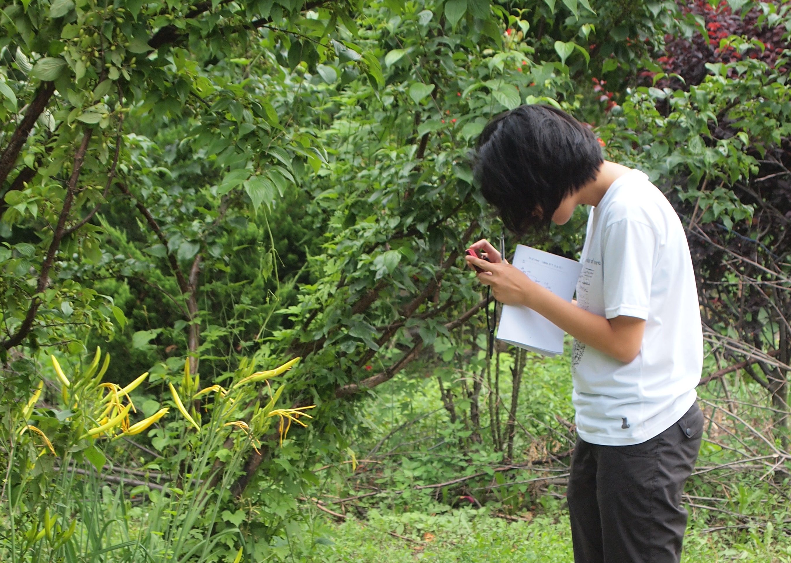 recording_plant.jpg recording_plant.jpg