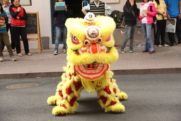 20130225Lion 2