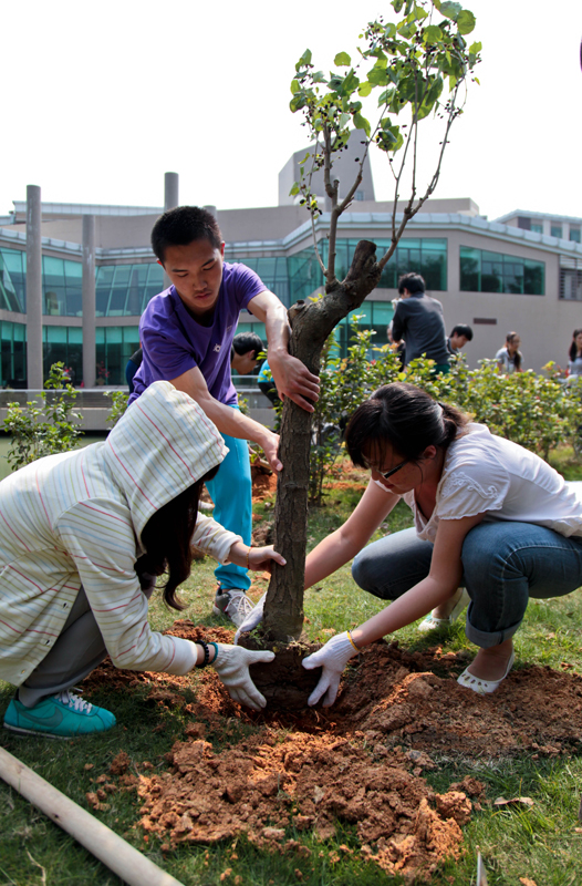 20120403-110912.jpg 20120403-110912.jpg