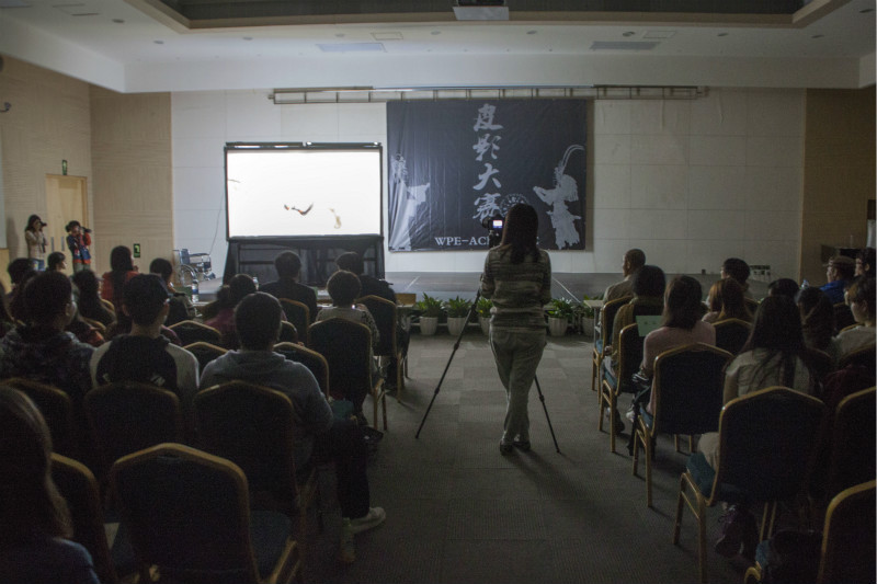 piyingdasai meitu 18