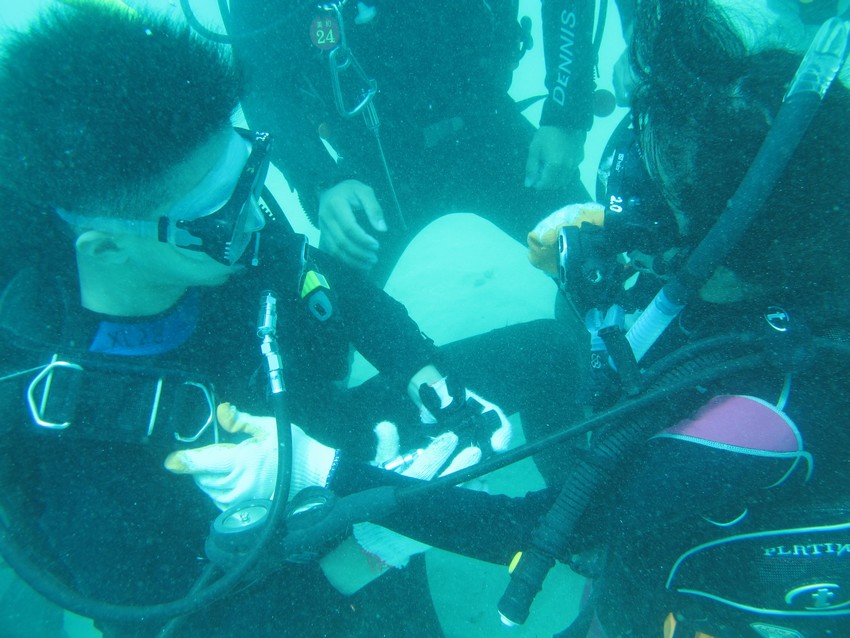 2013年台湾潜水海洋文化项目005